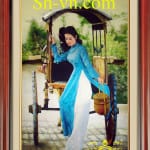 屏風手工刺綉＝罩袍越南　80=shvn-1180-80x120ｃｍ